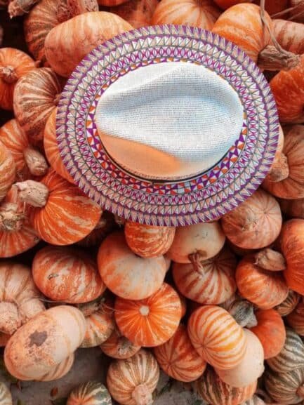 Premium Detailed Fedora Hat